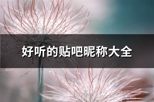 好聽(tīng)的貼吧昵稱(chēng)大全(112個(gè))