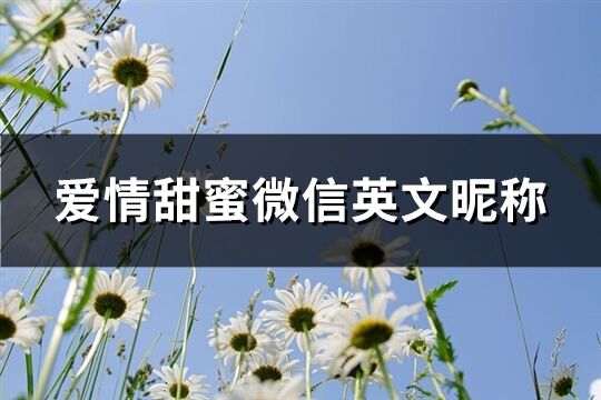 愛情甜蜜微信英文昵稱(精選158個)