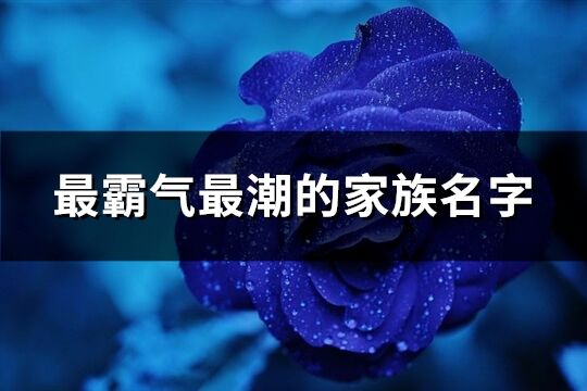 最霸氣最潮的家族名字(優(yōu)選329個)