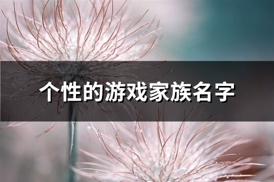 個性的游戲家族名字(共385個)