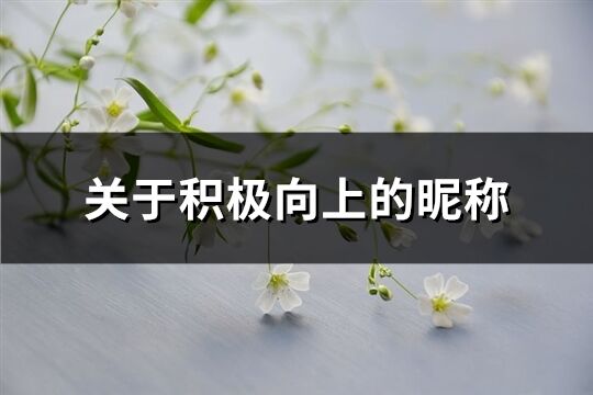 關于積極向上的昵稱(優選259個)