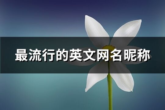 最流行的英文網名昵稱(193個)