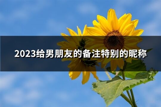2023給男朋友的備注特別的昵稱(精選125個)