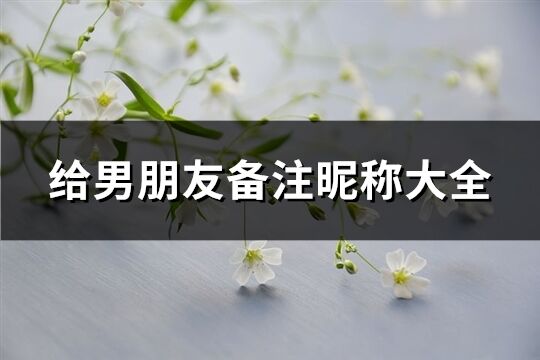 給男朋友備注昵稱大全(優(yōu)選340個(gè))