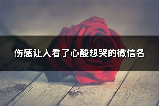 傷感讓人看了心酸想哭的微信名(111個(gè))