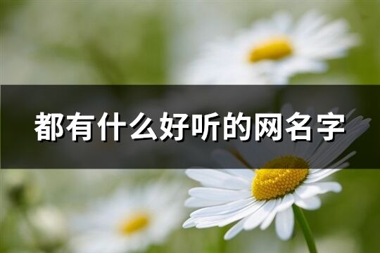 都有什么好聽的網名字(102個)