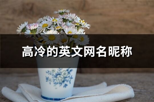高冷的英文網名昵稱(精選114個)