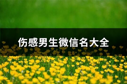 傷感男生微信名大全(精選174個)
