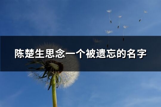 陳楚生思念一個被遺忘的名字(精選32個)