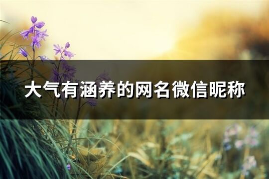 大氣有涵養(yǎng)的網(wǎng)名微信昵稱(優(yōu)選561個)