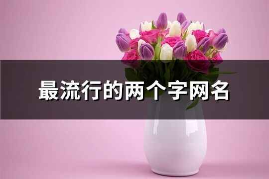 最流行的兩個字網名(共1887個)