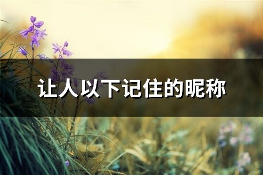 讓人以下記住的昵稱(優選332個)