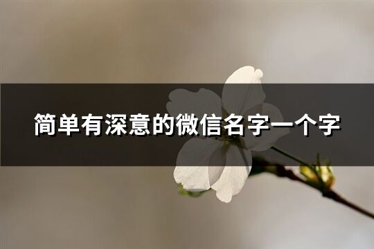 簡單有深意的微信名字一個字(共215個)