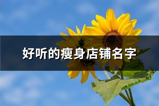 好聽(tīng)的瘦身店鋪名字(共154個(gè))