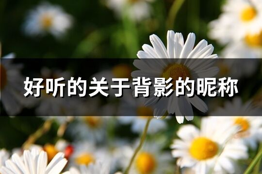 好聽的關于背影的昵稱(優選68個)