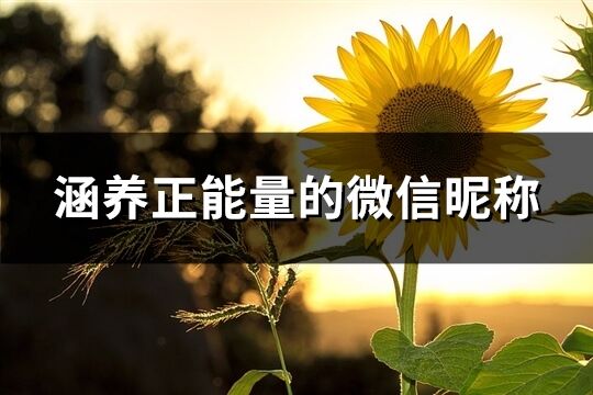 涵養(yǎng)正能量的微信昵稱(精選244個)
