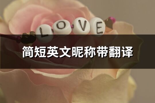 簡(jiǎn)短英文昵稱帶翻譯(共363個(gè))