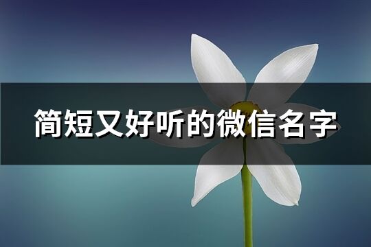 簡短又好聽的微信名字(精選1083個)