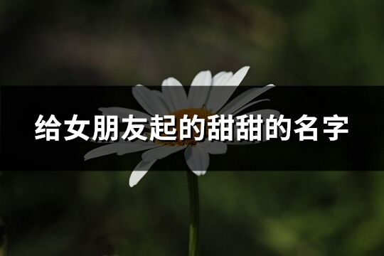 給女朋友起的甜甜的名字(優(yōu)選227個(gè))