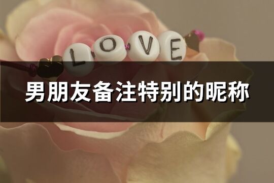 男朋友備注特別的昵稱(精選192個)