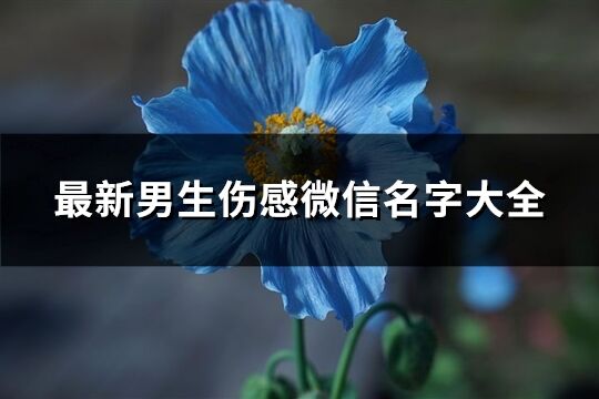 最新男生傷感微信名字大全(精選548個)