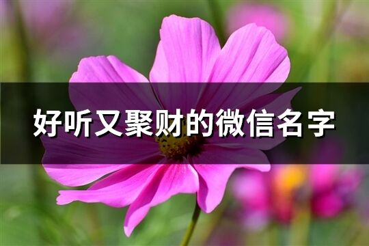 好聽又聚財的微信名字(540個)