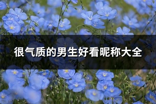 很氣質(zhì)的男生好看昵稱大全(優(yōu)選258個(gè))