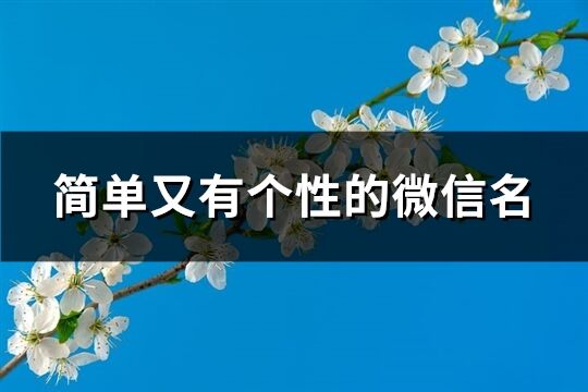 簡(jiǎn)單又有個(gè)性的微信名(521個(gè))