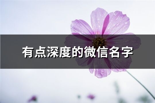 有點深度的微信名字(共443個)