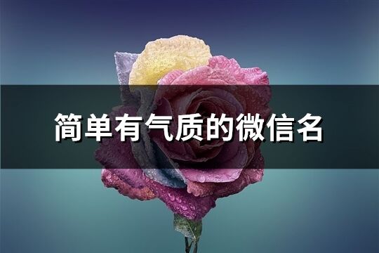 簡單有氣質的微信名(精選567個)
