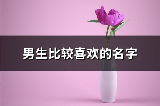 男生比較喜歡的名字(共176個(gè))