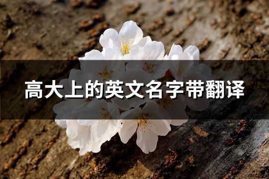 高大上的英文名字帶翻譯(精選76個(gè))