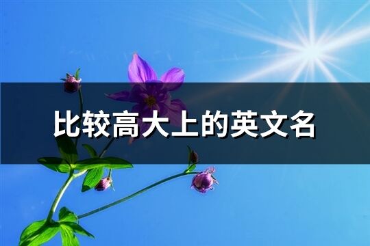 比較高大上的英文名(共67個)