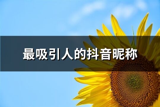 最吸引人的抖音昵稱(共1996個)
