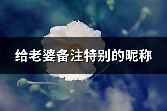 給老婆備注特別的昵稱(共120個)