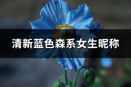 清新藍(lán)色森系女生昵稱(144個(gè))
