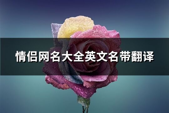 情侶網名大全英文名帶翻譯(優選85個)