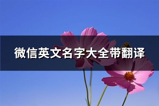 微信英文名字大全帶翻譯(共178個)