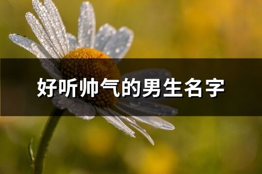 好聽(tīng)?zhēng)洑獾哪猩?精選159個(gè))