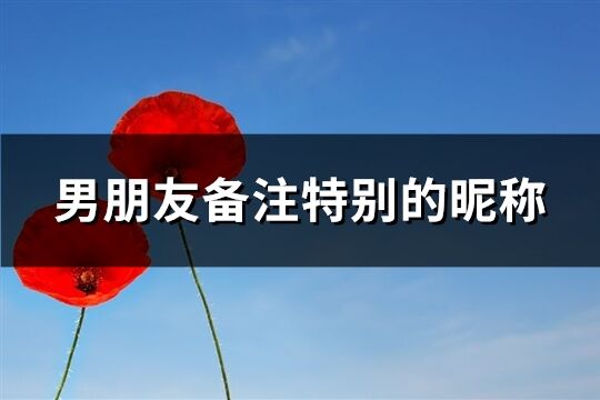 男朋友備注特別的昵稱(精選247個)