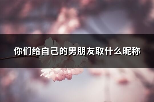 你們給自己的男朋友取什么昵稱(優選192個)