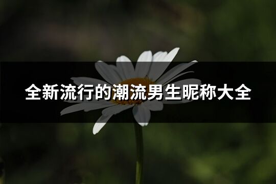 全新流行的潮流男生昵稱大全(精選308個(gè))
