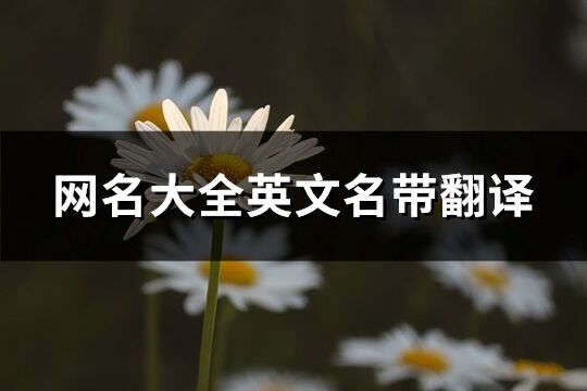 網名大全英文名帶翻譯(234個)