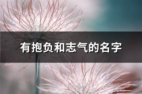 有抱負和志氣的名字(89個)