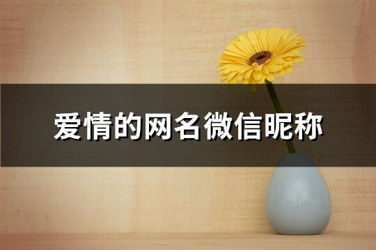 愛(ài)情的網(wǎng)名微信昵稱(chēng)(373個(gè))