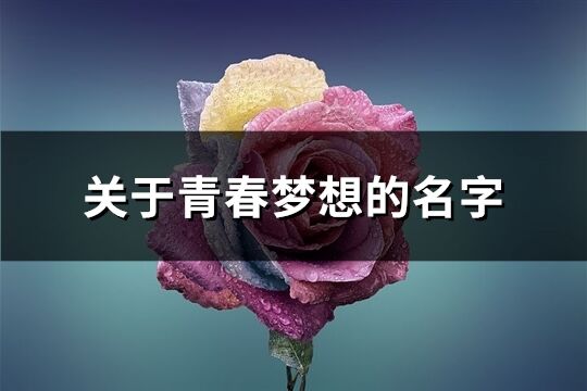 關于青春夢想的名字(優選87個)