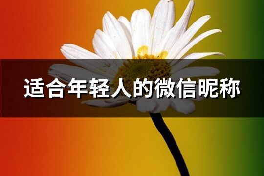 適合年輕人的微信昵稱(優選742個)