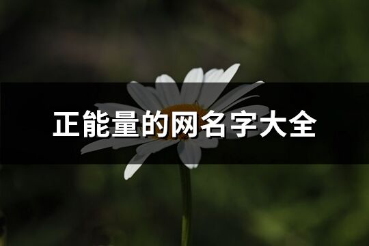 正能量的網名字大全(精選265個)