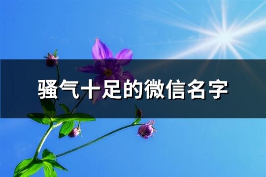 騷氣十足的微信名字(優選180個)