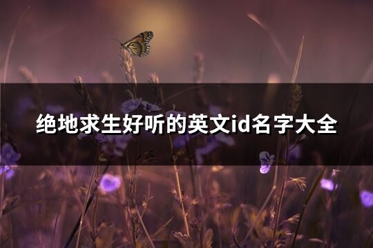 絕地求生好聽的英文id名字大全(優(yōu)選116個(gè))